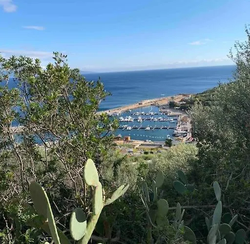 Rez De Villa, Vue Panoramique Et Montagne ! Vico
